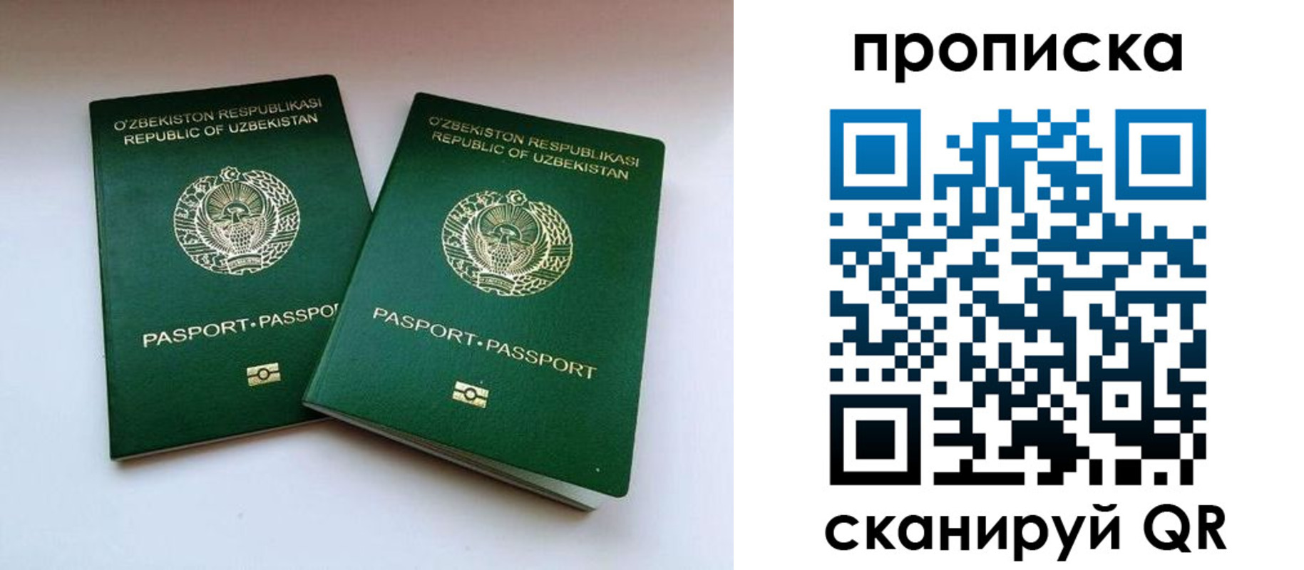 прописка поиск в Белокурихе